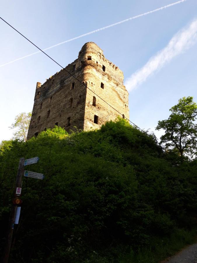 Ferienwohnung Adelheid Brachtendorf Morsdorf Extérieur photo